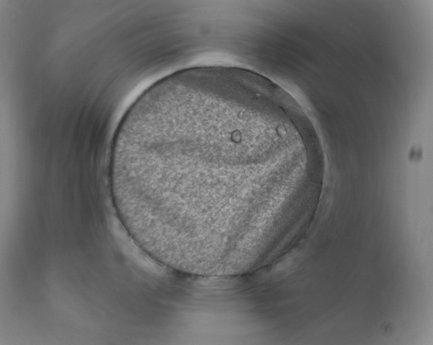 X0000112421008200909041408