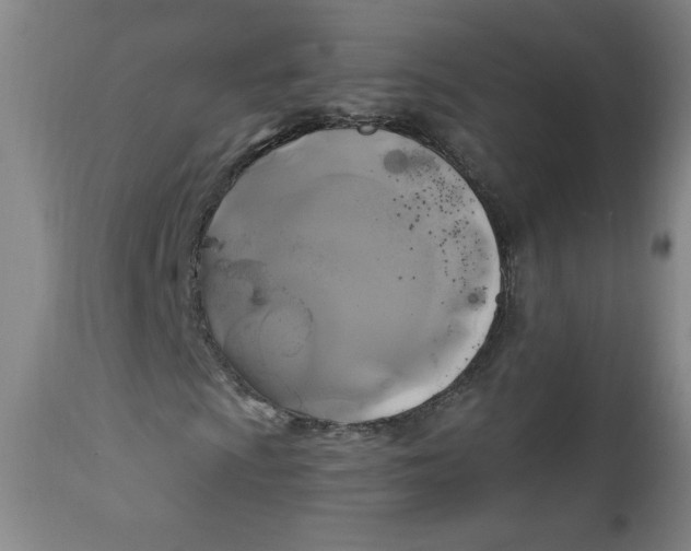 X0000112421009200909041407