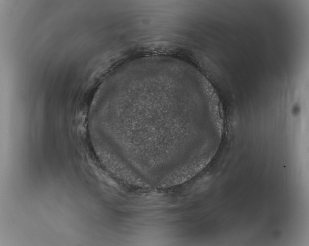 X0000112421010200909041407