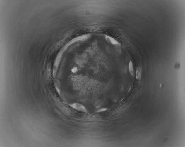 X0000112421011200909041407