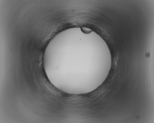 X0000112421012200909041407