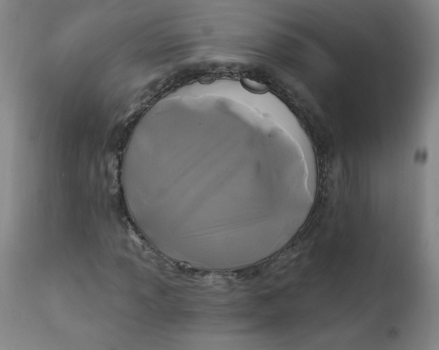 X0000112421013200909041407