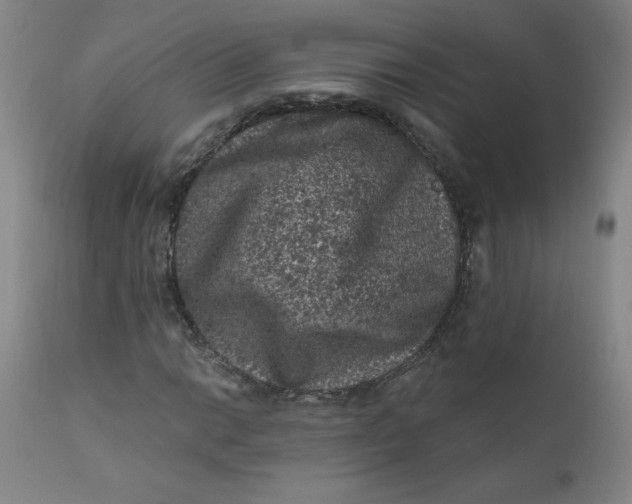 X0000112421014200909041407