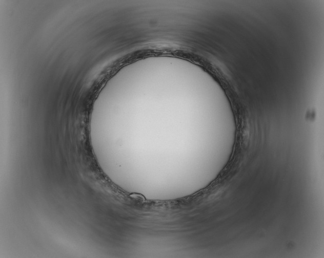 X0000112421016200909041407