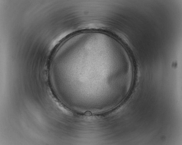 X0000112421018200909041407