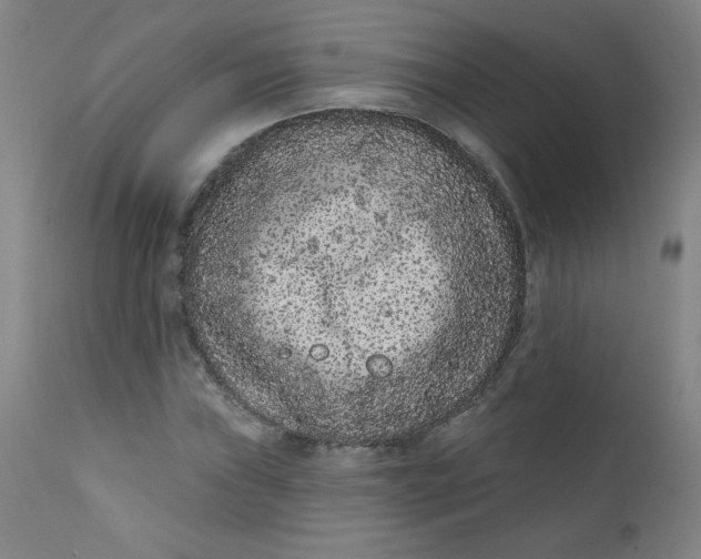 X0000112421019200909041407