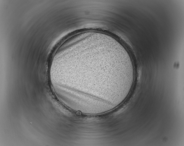 X0000112421021200909041407