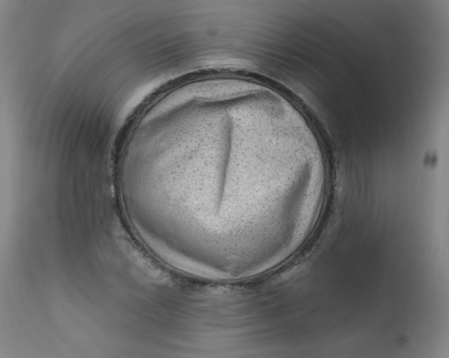 X0000112421022200909041407