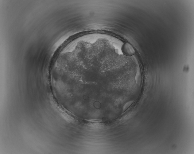 X0000112421023200909041407