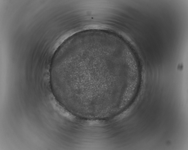 X0000112421025200909041407