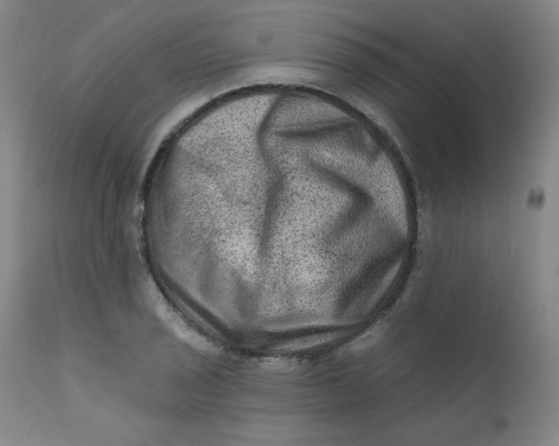 X0000112421029200909041407