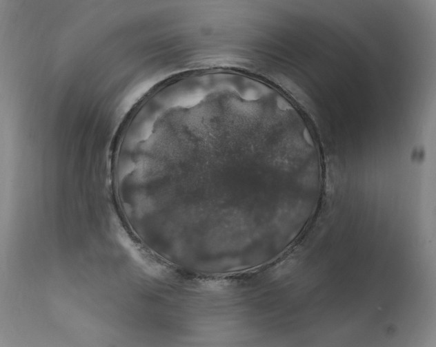 X0000112421031200909041407