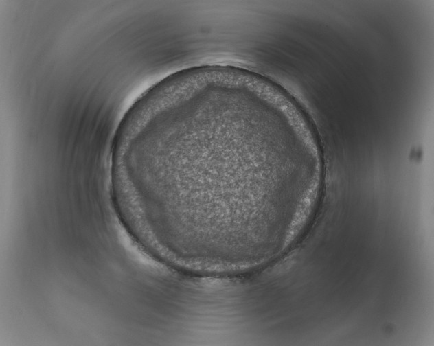 X0000112421032200909041407