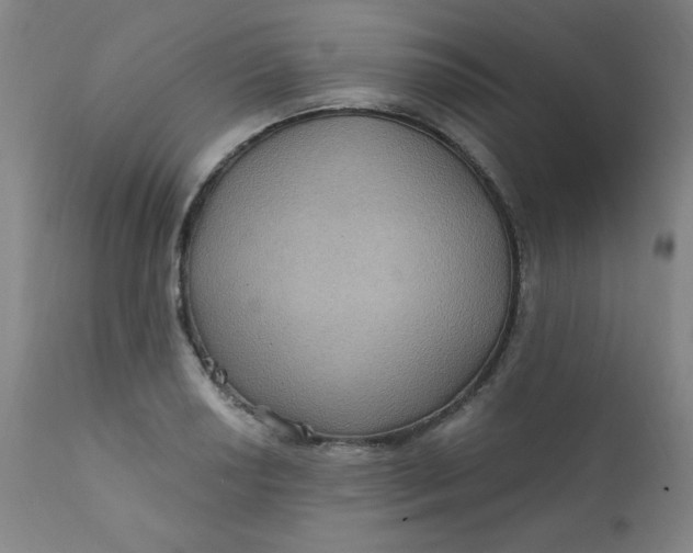 X0000112421034200909041407