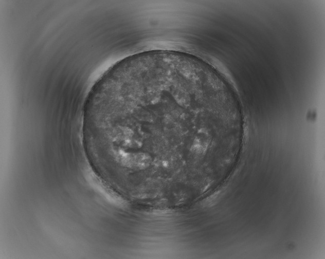 X0000112421035200909041407