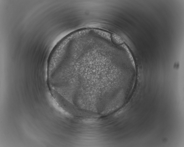 X0000112421036200909041407