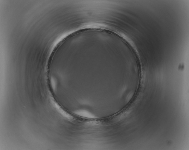 X0000112421037200909041407