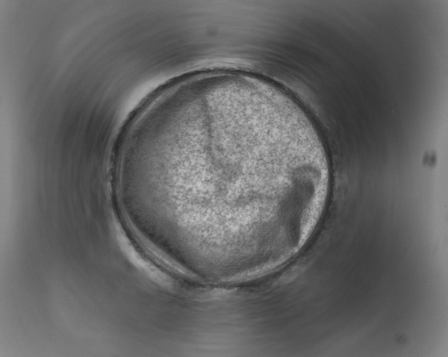 X0000112421038200909041407