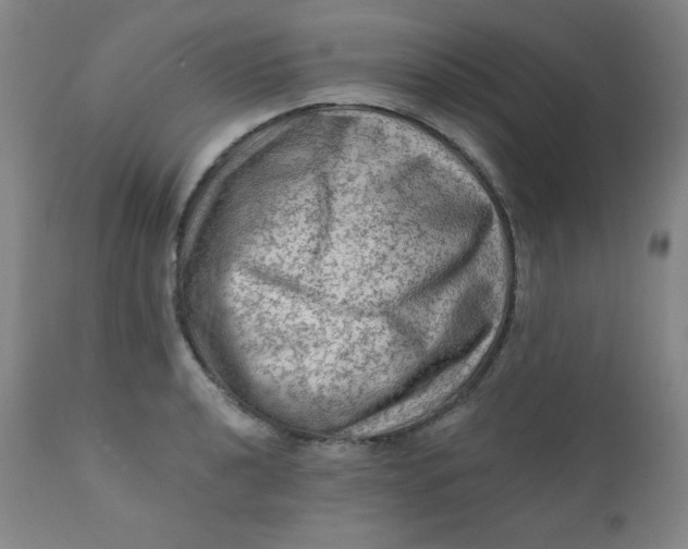 X0000112421040200909041408