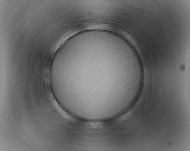 X0000112421041200909041408