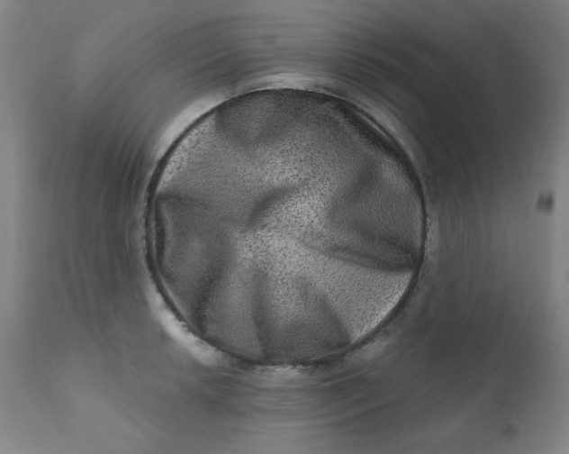 X0000112421042200909041408