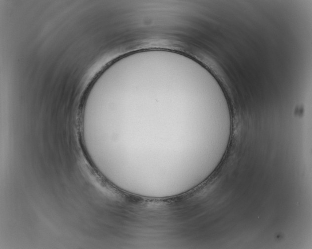 X0000112421043200909041408