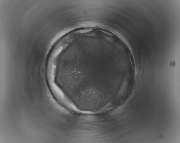 X0000112421045200909041408