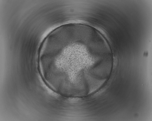 X0000112421046200909041408