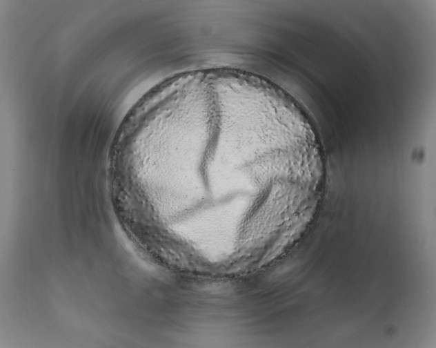 X0000112421047200909041408