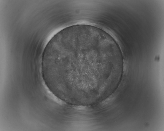 X0000112421048200909041408