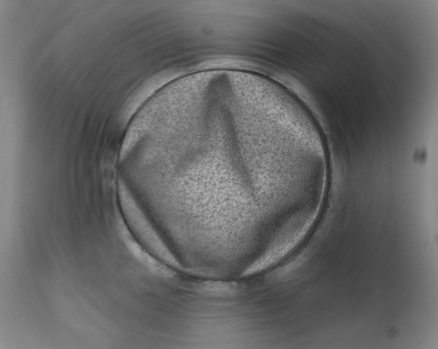 X0000112421049200909041408