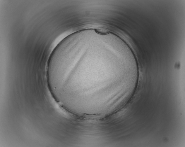 X0000112421050200909041408