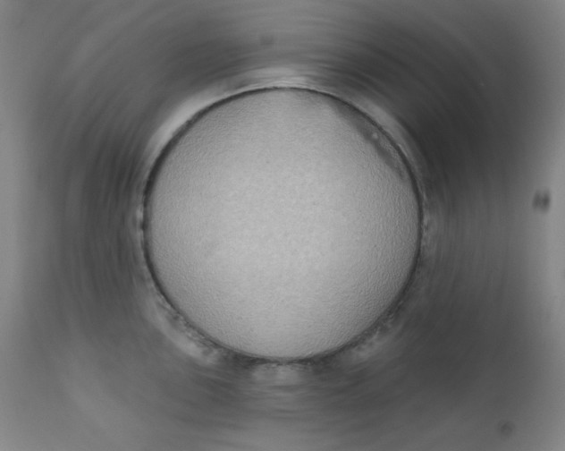 X0000112421051200909041408