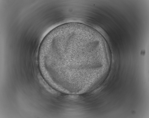 X0000112421052200909041408