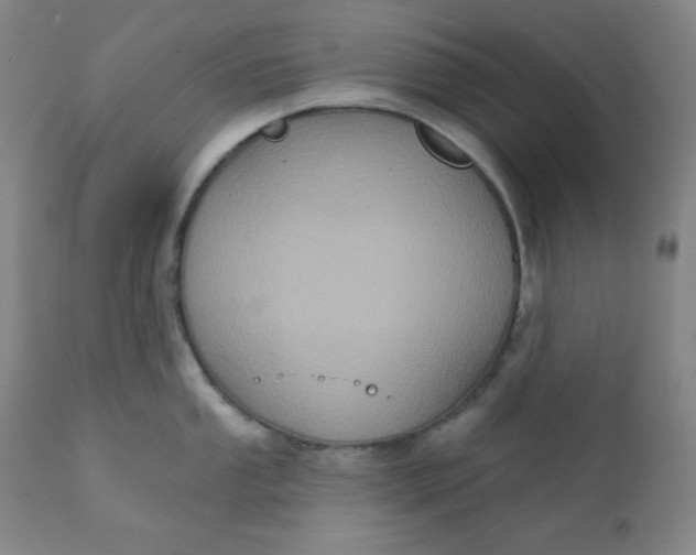 X0000112421053200909041408