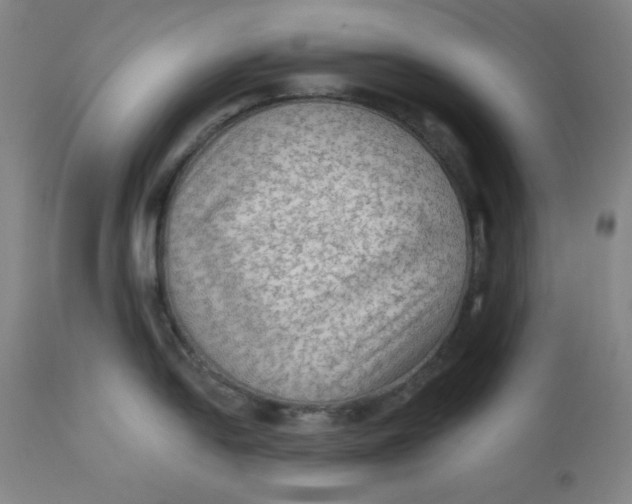 X0000112421054200909041408