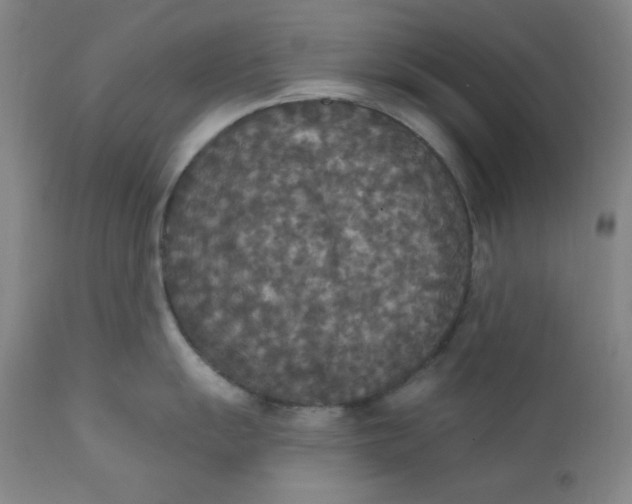 X0000112421055200909041408