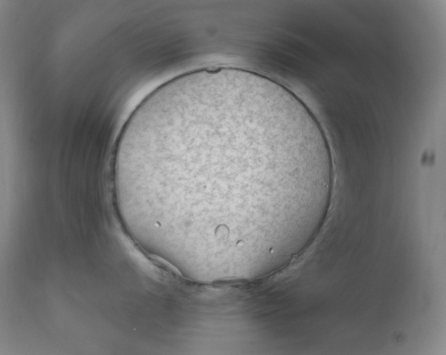 X0000112421056200909041408