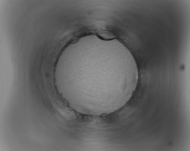 X0000112421057200909041407