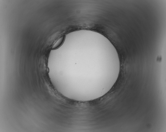 X0000112421058200909041407