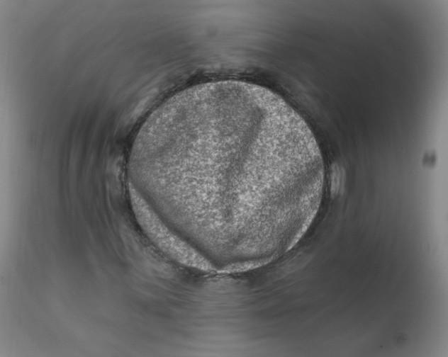 X0000112421059200909041407