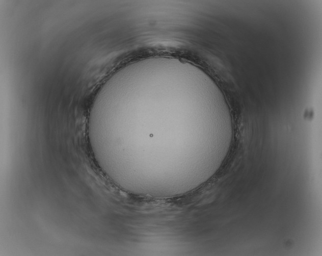 X0000112421061200909041407