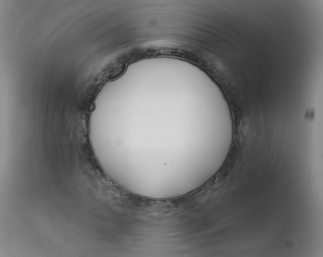 X0000112421062200909041407