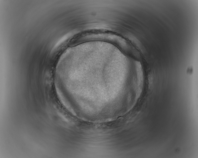 X0000112421064200909041407