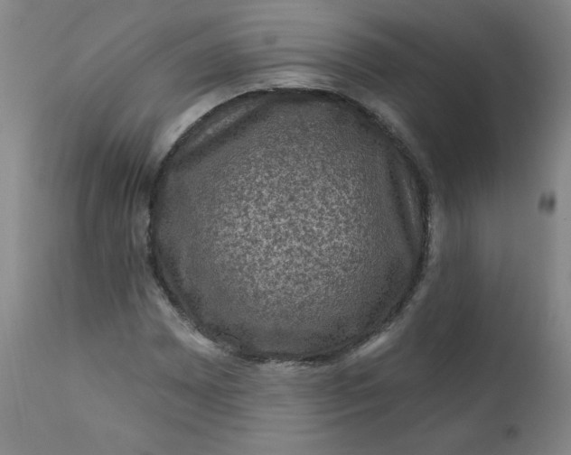 X0000112421065200909041407