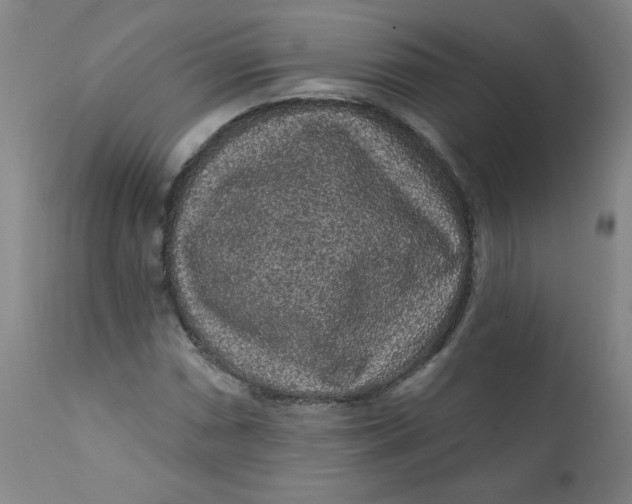 X0000112421066200909041407