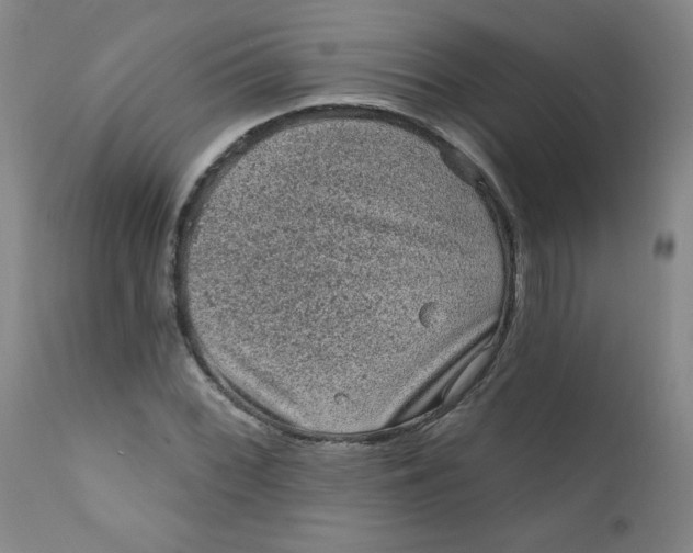 X0000112421068200909041407