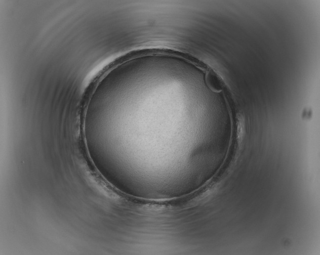 X0000112421069200909041407