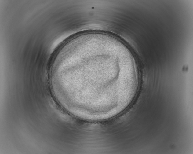 X0000112421070200909041407