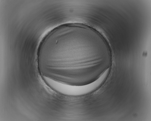 X0000112421072200909041407